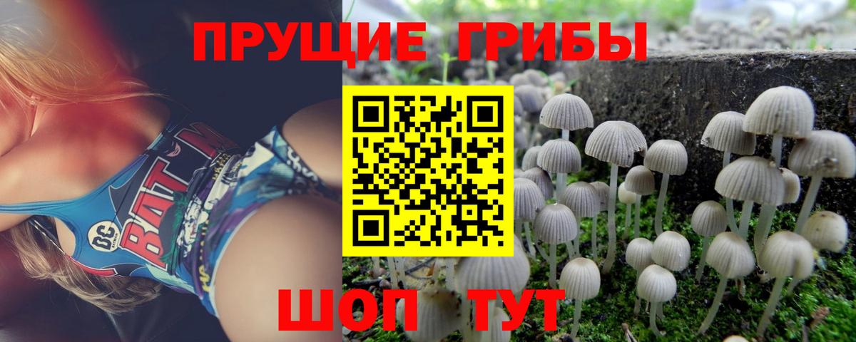 Грязи  Галлюциногенные грибы GOLDEN TEACHER  Вход с VPN  Псилоцибиновые грибы Cubensis 
